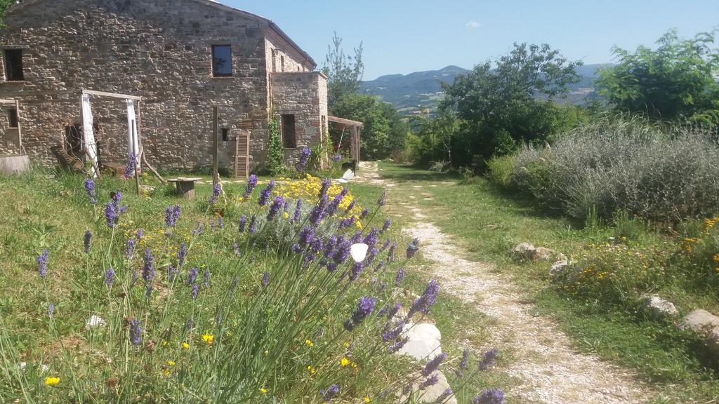 Sasso Erminia R&B Ecosostenibile Novafeltria 外观 照片